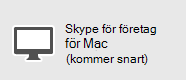– MacSkype