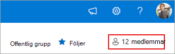 Gruppmedlemskap som visar aktuella medlemmar.
