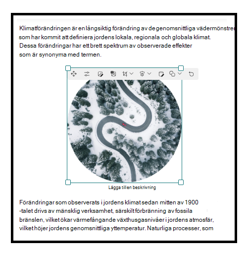 infoga bild i textwebbdel