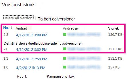 Versionshistorik där delversionen raderats