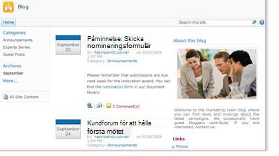 Bloggwebbplats