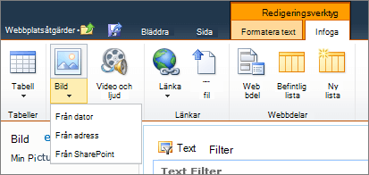 Klicka på bildknappen i menyfliksområdet och välj från dator, adress eller SharePoint.