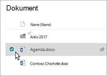 Skärmbild av ett bibliotek med en fil markerad