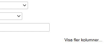 Om du behöver lägga till ytterligare en post i filterdefinitionen väljer du Visa fler kolumner.