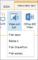 Knappen Infoga video eller ljud i menyfliksområdet Redigera