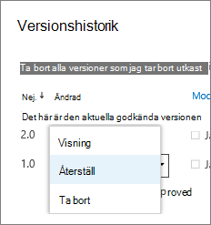 Versionsmeny