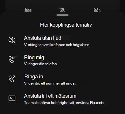 Välj en ljudkälla på skärmen för anslutning till ett mobilmöte.