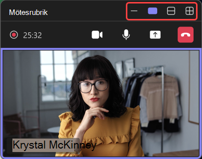 Skärmbild där olika vyer markeras i det minimerade mötesfönstret.