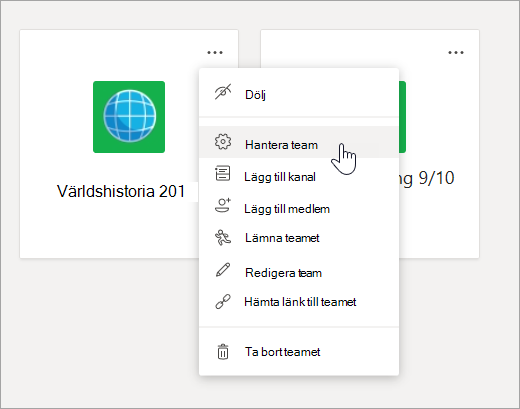 Redigeringsmenyn och inställningarna för ett team.