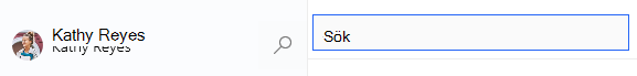 Förstoringsglasikonen markerad och sökfältet öppnas
