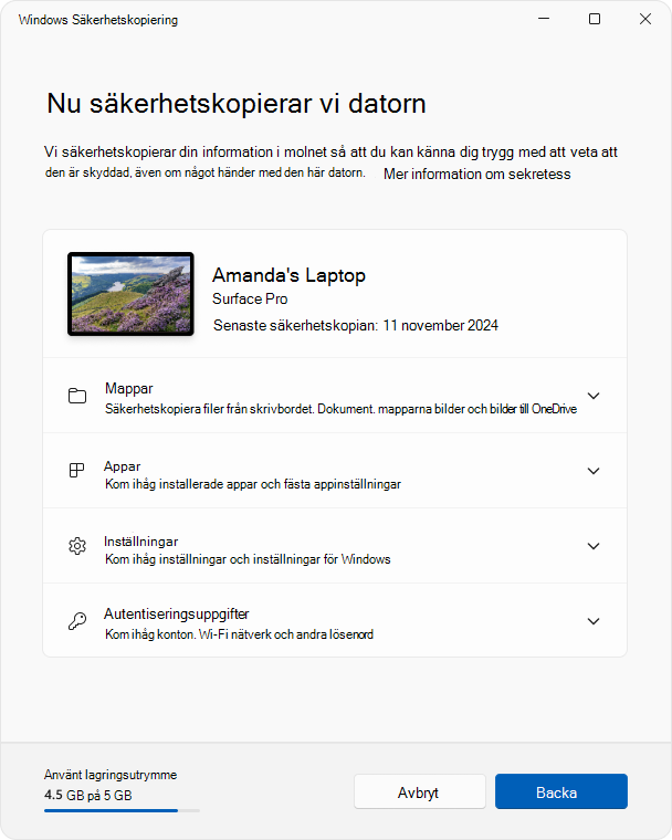 Skärmbild av appen Windows Säkerhetskopiering i Windows 11.