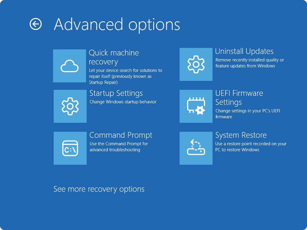 Skärmbild av Windows RE som visar avancerade alternativ och den nya QMR-posten.
