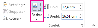 Kommandot Beskär på fliken Format under Bildverktyg