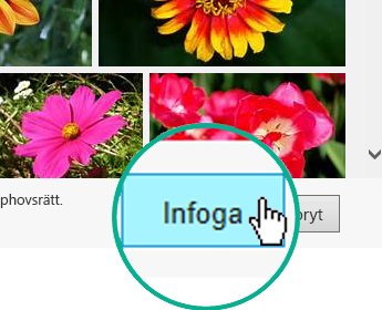 Välj knappen Infoga längst ned till höger i dialogrutan