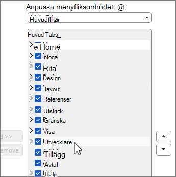 Dialogrutan Anpassa menyfliksområdet med utvecklaren markerad