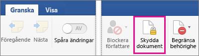 Skydda dokument är markerat på fliken Granska