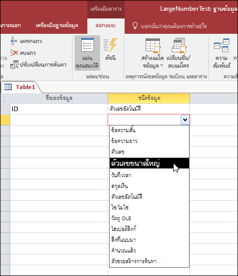 สกรีนช็อตของรายการชนิดข้อมูลในตาราง Access มีการเลือกตัวเลขขนาดใหญ่