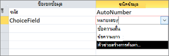 การสร้างเขตข้อมูลตัวเลือก