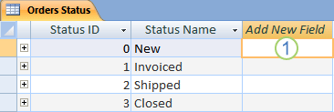 แผ่นข้อมูลใน Access ที่มีคอลัมน์ เพิ่มเขตข้อมูลใหม่