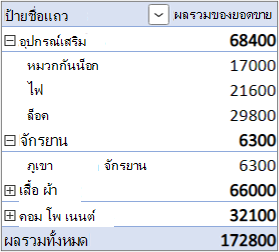ฟอร์มเค้าโครงเริ่มต้นที่มีเขตข้อมูลค่าในพื้นที่แถว