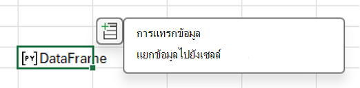 เลือกไอคอน แทรกข้อมูล เพื่อแยกข้อมูล DataFrame