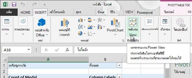 แทรกรายงาน Power View