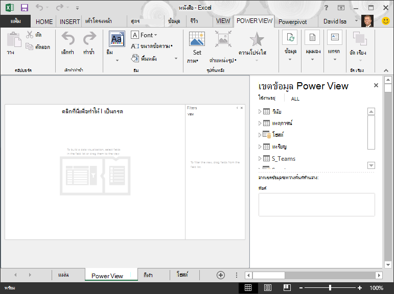 รายงาน Power View  เปล่าใน Excel