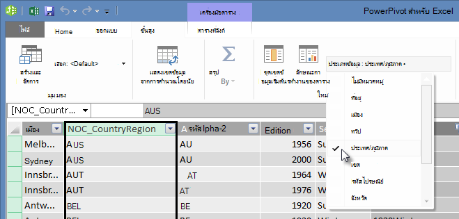 ประเภทข้อมูลใน PowerPivot