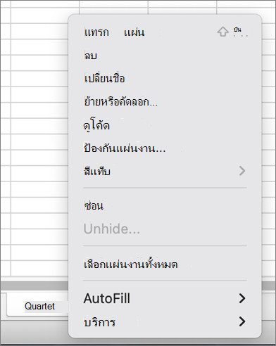 เมนู ป้องกันเวิร์กบุ๊ก ไม่พร้อมใช้งาน MacOS