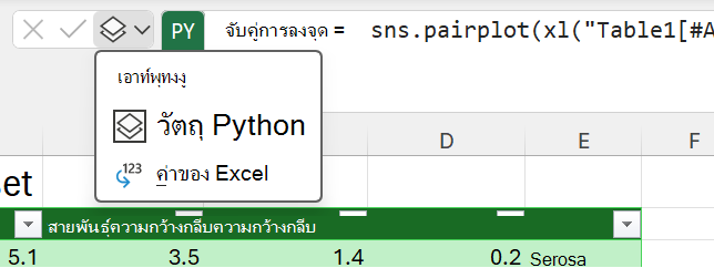 ใช้เมนูผลลัพธ์ Python ที่อยู่ถัดจากแถบสูตรเพื่อเปลี่ยนชนิดผลลัพธ์
