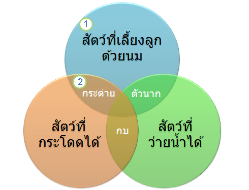 ไดอะแกรมเวนน์