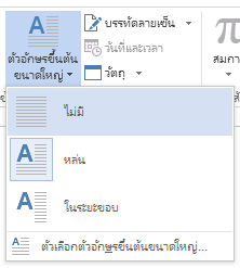 เลือก ไม่มี เพื่อเอาตัวอักษรขึ้นต้นขนาดใหญ่ออก