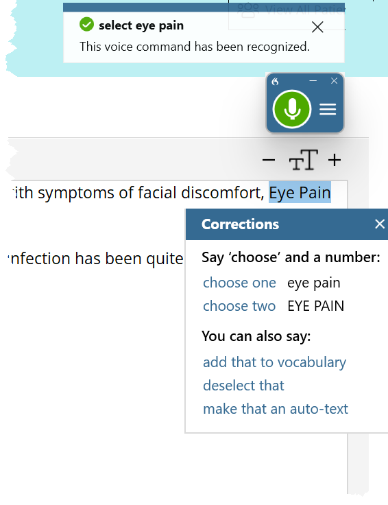 Example of selected text in an EHR window with the correction menu open