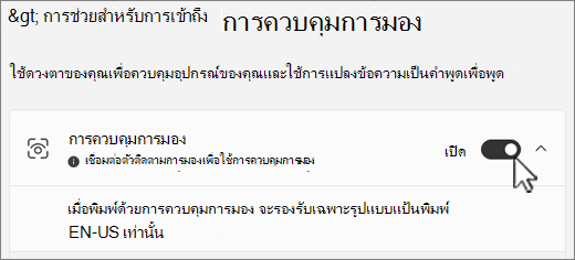 ส่วนการควบคุมการมองของหน้าต่างการตั้งค่าการช่วยสําหรับการเข้าถึง