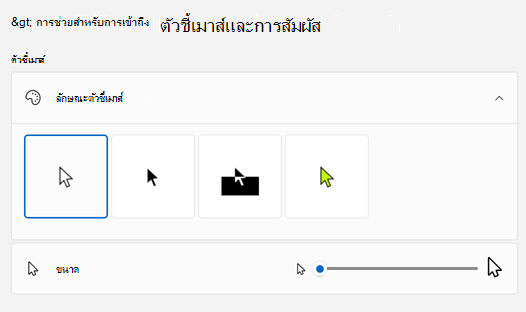 ตัวชี้เมาส์ & สัมผัสในการตั้งค่า
