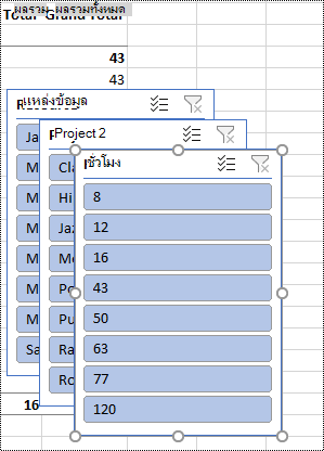 ตัวกรองตัวแบ่งส่วนข้อมูลบนเวิร์กชีตใน Excel