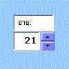 ตัวอย่างของตัวควบคุมปุ่มหมุน ActiveX