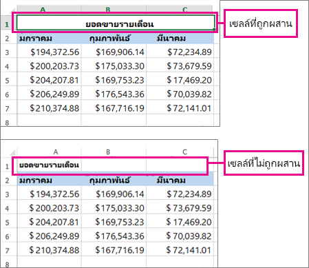 ก่อนและหลังการยกเลิกการผสานเซลล์