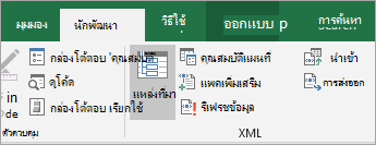 แท็บนักพัฒนา