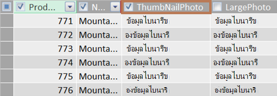 ตัวอย่างของคอลัมน์ไบนารีของรูปขนาดย่อ