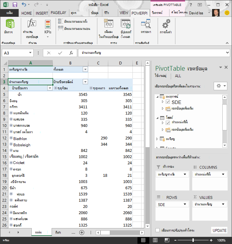 PivotTable พร้อมลำดับชั้นที่เพิ่มเข้าไป