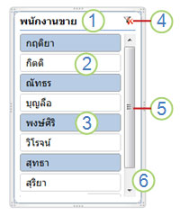 สกรีนช็อตขององค์ประกอบตัวแบ่งส่วนข้อมูล PivotTable