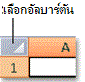 ปุ่ม เลือกทั้งหมด