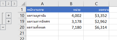 รายการที่จัดเค้าร่างที่แสดงเฉพาะแถวผลรวม