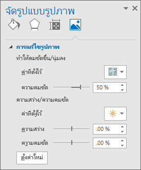 ตัวเลือก การแก้ไขรูปภาพ ในบานหน้าต่างงาน จัดรูปแบบรูปภาพ