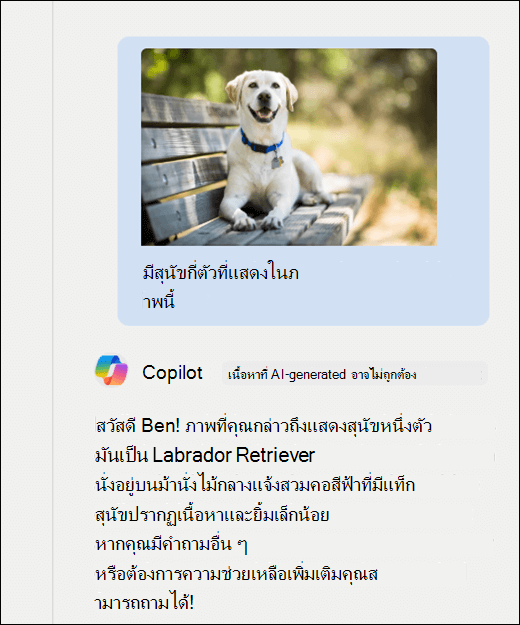 สกรีนช็อตของ Copilot รูปภาพของสุนัขถูกวางพร้อมกับพร้อมท์ มีสุนัขกี่ตัวที่แสดงในภาพนี้ Copilot มีการตอบสนองอย่างถูกต้องและให้คําอธิบายเพิ่มเติมเกี่ยวกับรูปภาพ