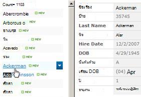 รายการ SharePoint ในสไตล์มุมมองบานหน้าต่างแสดงตัวอย่างที่มีชื่อรายการอยู่ทางด้านซ้ายและค่าคอลัมน์ทั้งหมดแสดงในแนวตั้งทางด้านขวา