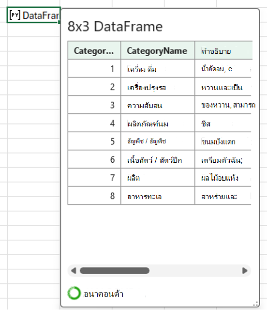 Python ที่เปิดอยู่ในการ์ด DataFrame ของ Excel ที่แสดงข้อมูลประเภท