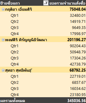 PivotTable ที่จัดรูปแบบในสไตล์ที่แตกต่างกัน
