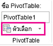ปุ่มตัวเลือก บนแท็บวิเคราะห์